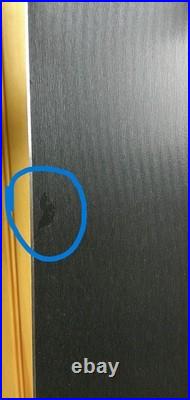 2025 Volkl Blaze 86 166cm with Marker Motion 11.0 Binding