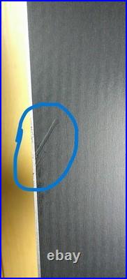 2025 Volkl Mantra 88 170cm with Marker Griffon TCX Binding